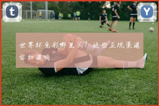 世界杯竞彩哪里买?这些正规渠道你知道吗