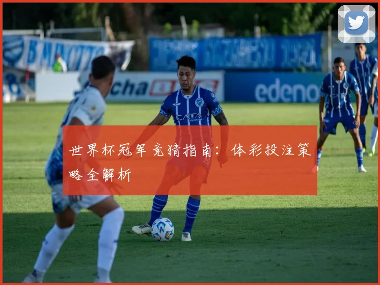 世界杯冠军竞猜指南:体彩投注策略全解析