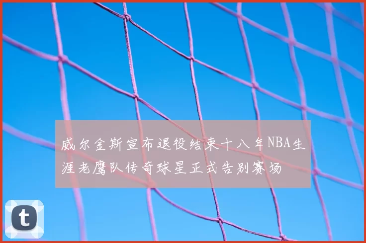 威尔金斯宣布退役结束十八年NBA生涯老鹰队传奇球星正式告别赛场