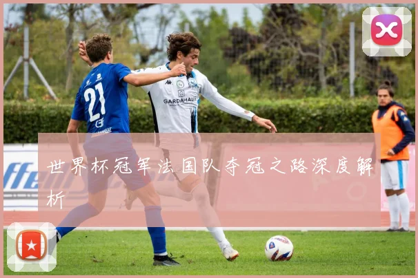 世界杯冠军法国队夺冠之路深度解析