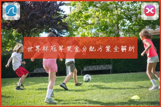 世界杯冠军奖金分配方案全解析