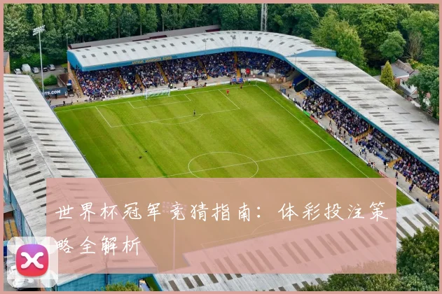 世界杯冠军竞猜指南：体彩投注策略全解析