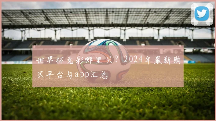 世界杯竞彩哪里买?2024年最新购买平台与app汇总