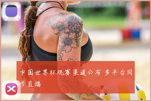 中国世界杯观赛渠道公布 多平台同步直播