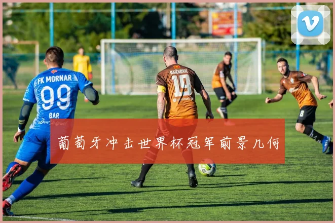 葡萄牙冲击世界杯冠军前景几何