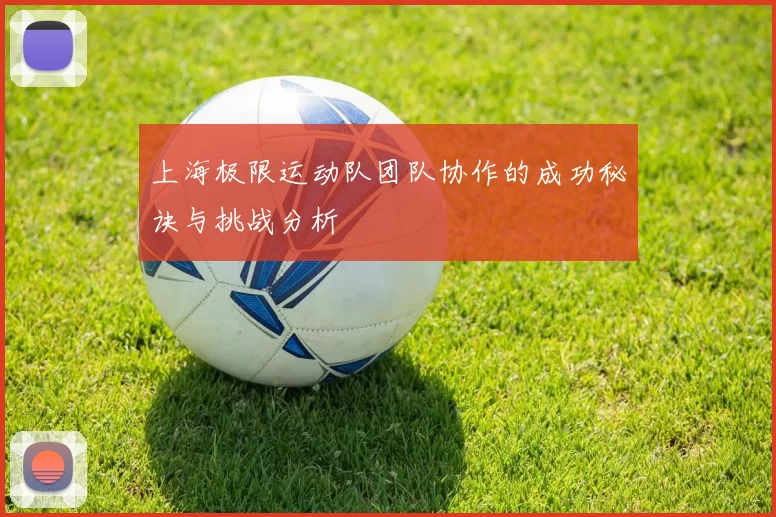 上海极限运动队团队协作的成功秘诀与挑战分析