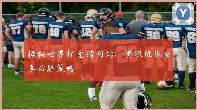 揭秘世界杯竞猜网站:资深玩家分享必胜策略