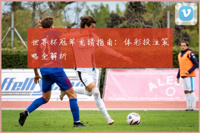 世界杯冠军竞猜指南:体彩投注策略全解析