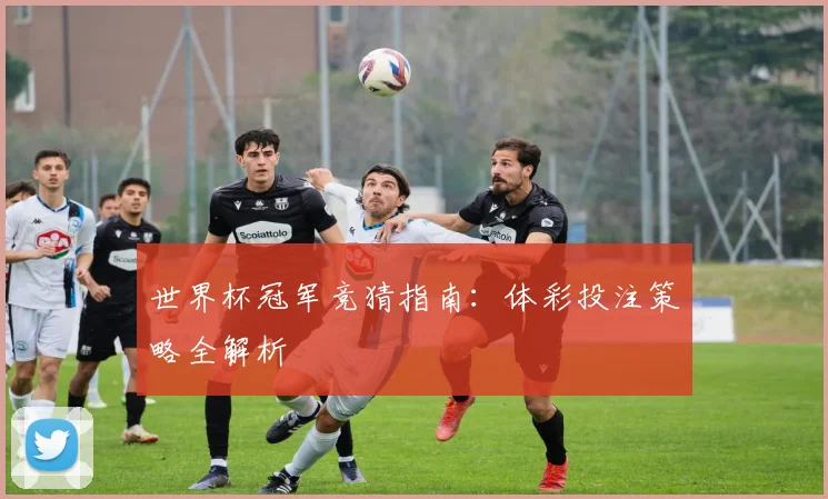 世界杯冠军竞猜指南:体彩投注策略全解析