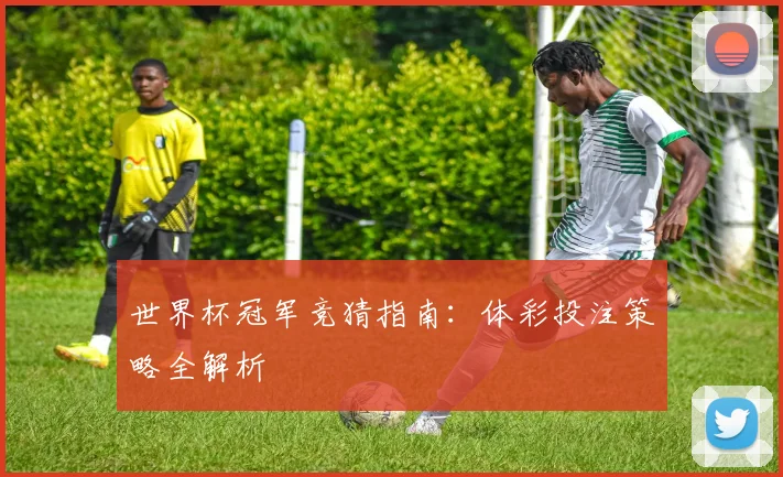世界杯冠军竞猜指南:体彩投注策略全解析