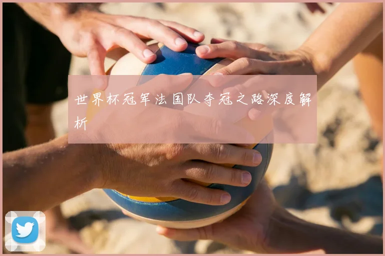 世界杯冠军法国队夺冠之路深度解析