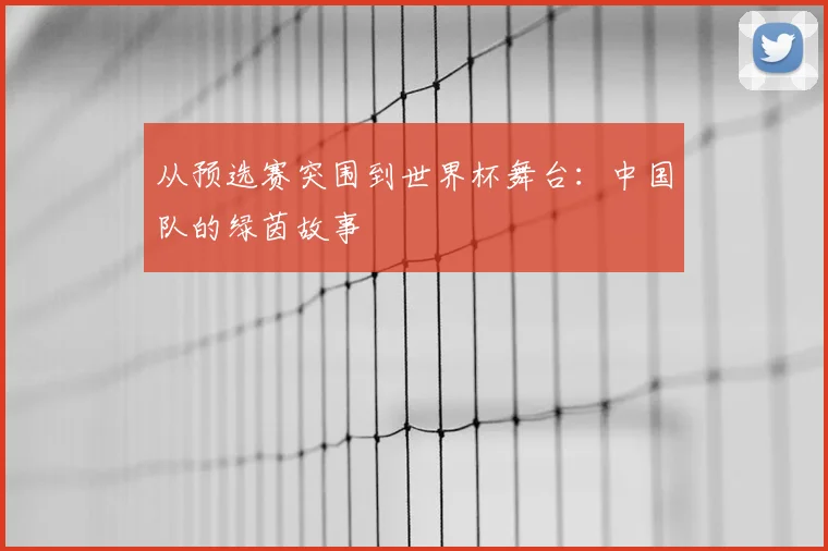 从预选赛突围到世界杯舞台：中国队的绿茵故事