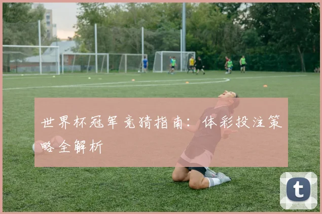 世界杯冠军竞猜指南：体彩投注策略全解析