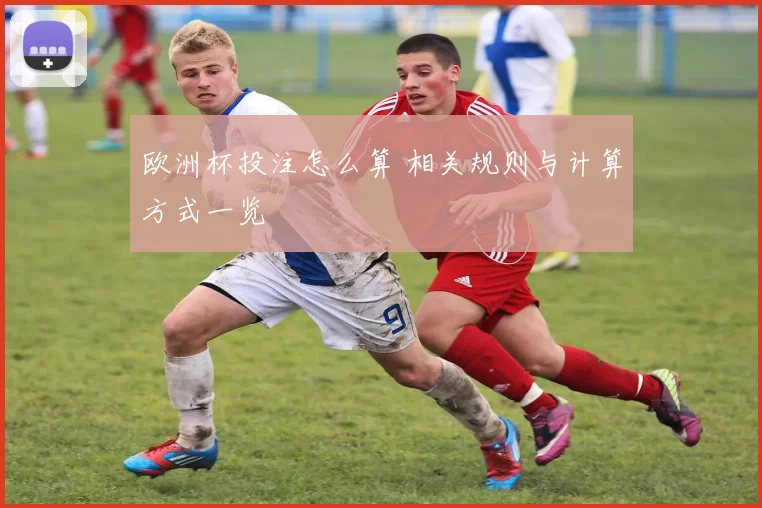 欧洲杯投注怎么算 相关规则与计算方式一览