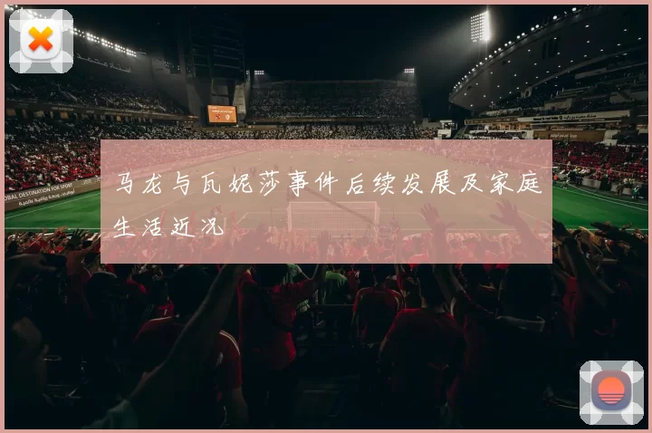 马龙与瓦妮莎事件后续发展及家庭生活近况