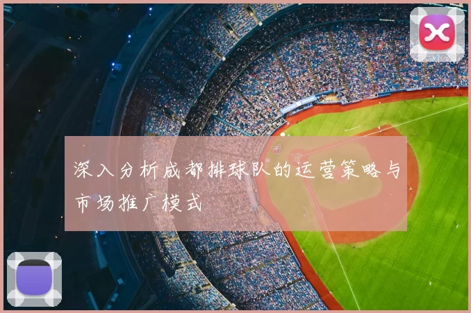 深入分析成都排球队的运营策略与市场推广模式