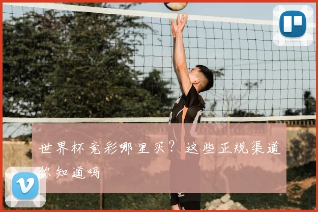 世界杯竞彩哪里买?这些正规渠道你知道吗