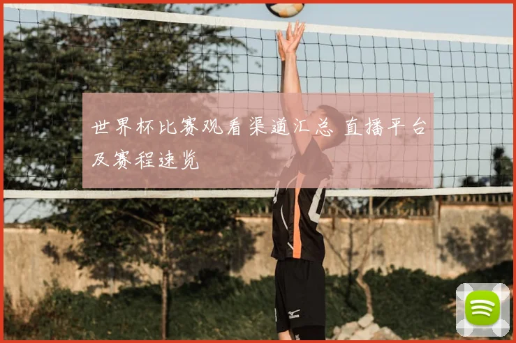 世界杯比赛观看渠道汇总 直播平台及赛程速览