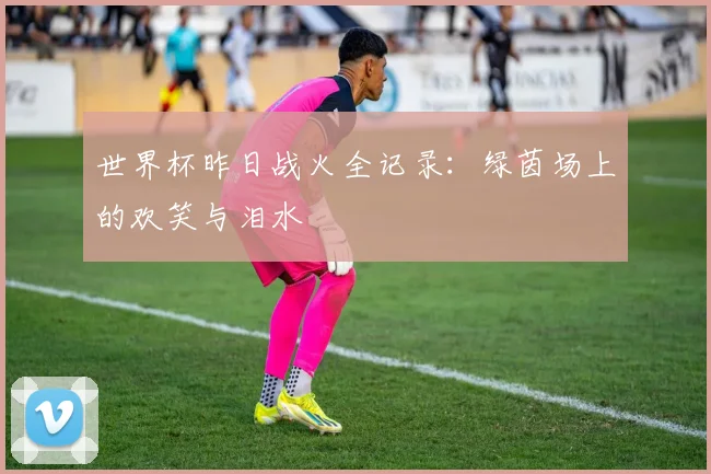 世界杯昨日战火全记录:绿茵场上的欢笑与泪水