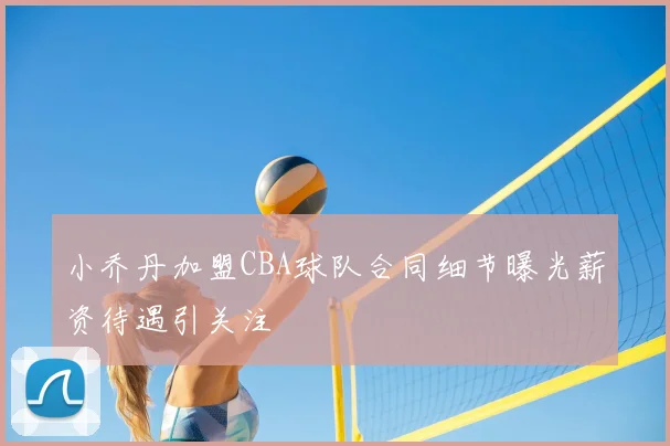 小乔丹加盟CBA球队合同细节曝光薪资待遇引关注