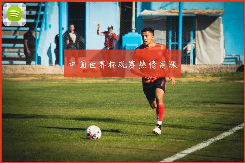 中国世界杯观赛热情高涨
