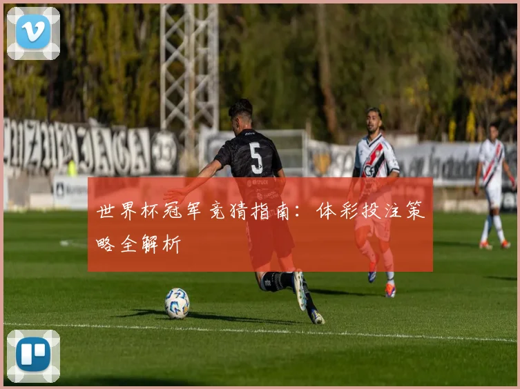 世界杯冠军竞猜指南:体彩投注策略全解析