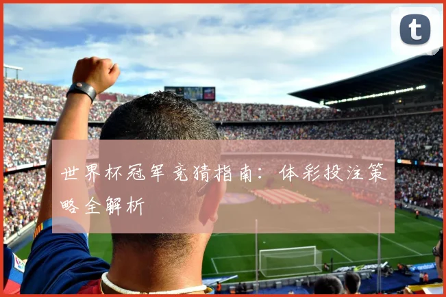 世界杯冠军竞猜指南:体彩投注策略全解析