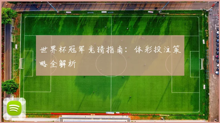 世界杯冠军竞猜指南：体彩投注策略全解析