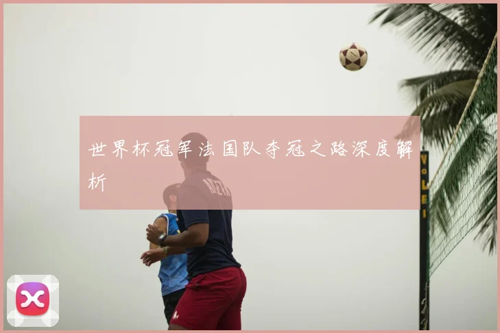 世界杯冠军法国队夺冠之路深度解析
