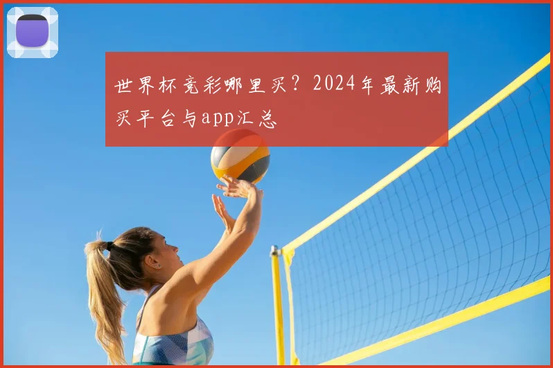 世界杯竞彩哪里买?2024年最新购买平台与app汇总