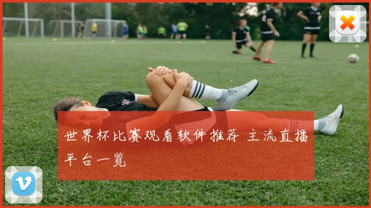 世界杯比赛观看软件推荐 主流直播平台一览