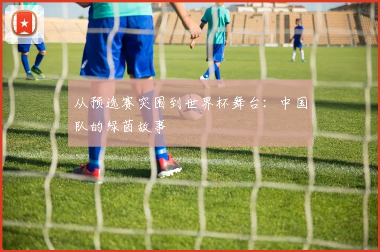 从预选赛突围到世界杯舞台：中国队的绿茵故事