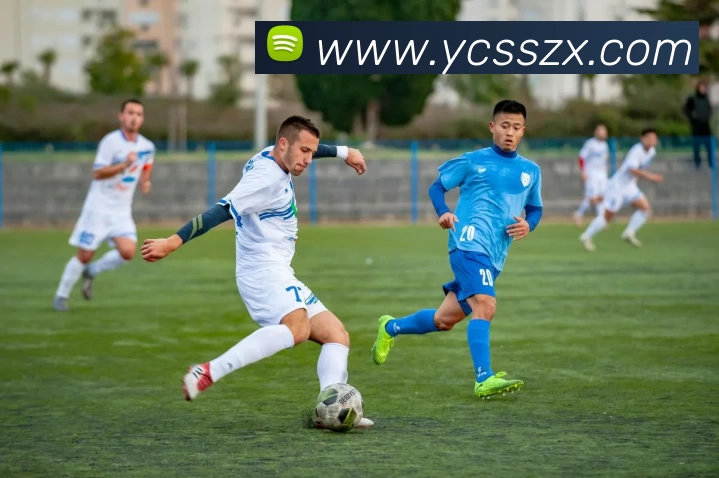 九游体育发展历程