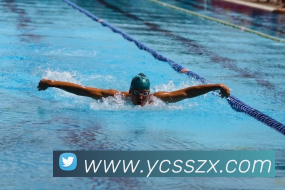 App Interface Preview